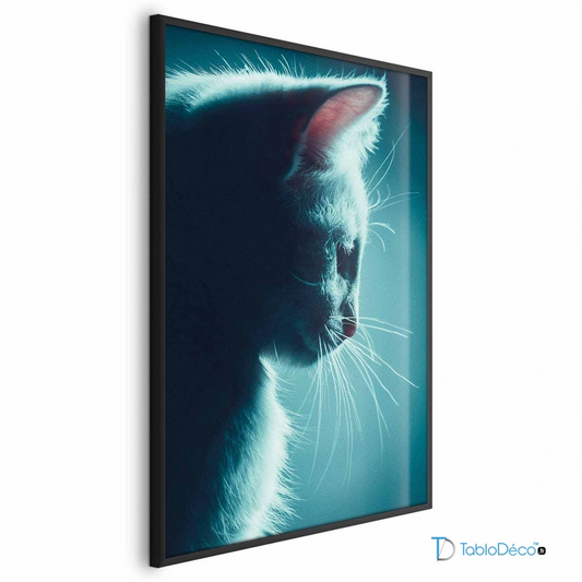 Poster Chat de Nuit