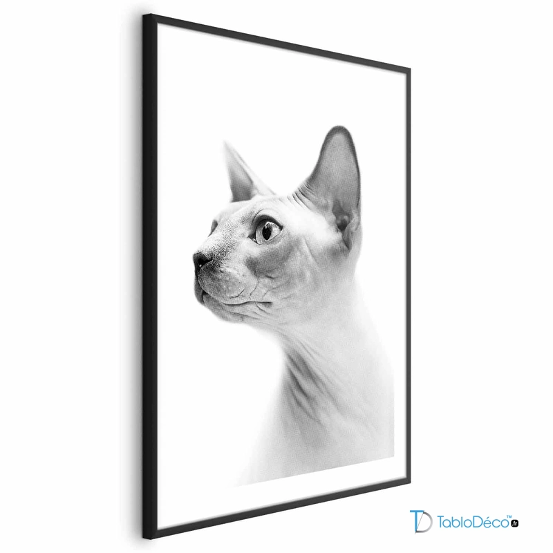 Poster Chat Sphynx en Noir et Blanc cadre noir avec marge