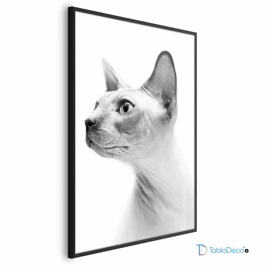 Poster Chat Sphynx en Noir et Blanc