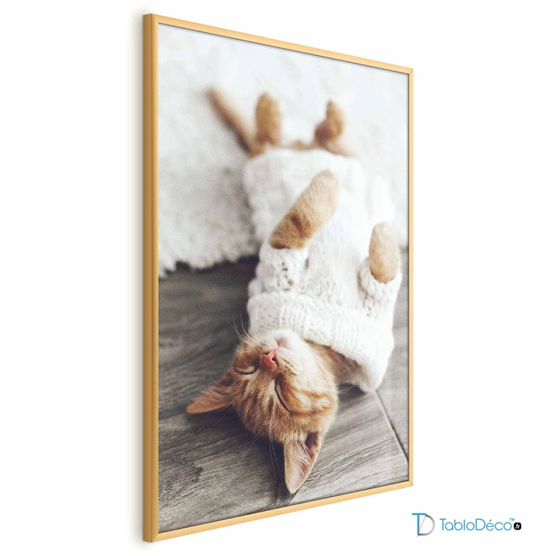 Poster Chaton Endormi avec un cadre doré