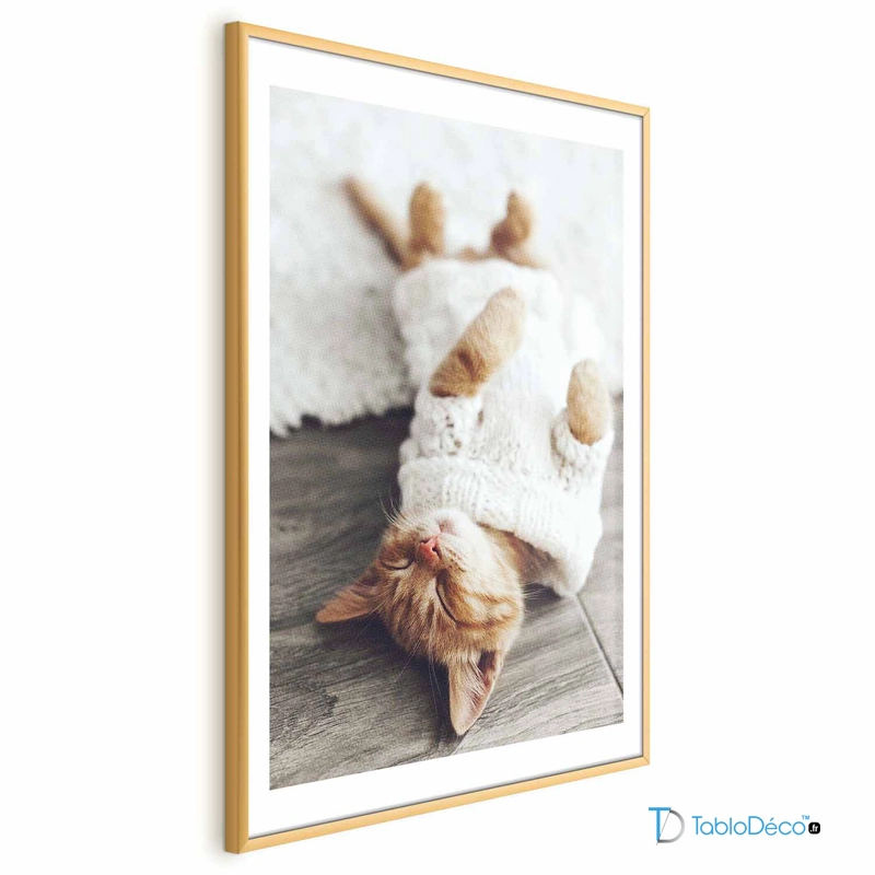 Poster Chaton Endormi cadre doré avec une marge