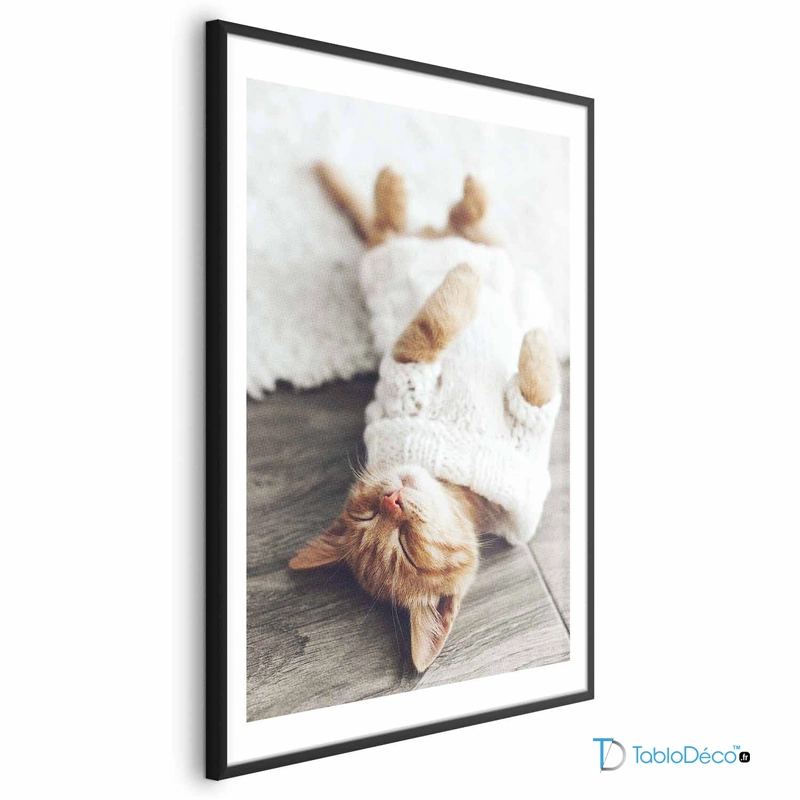 Poster Chaton Endormi cadre noir avec marge