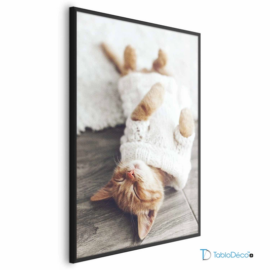 Poster Chaton Endormi