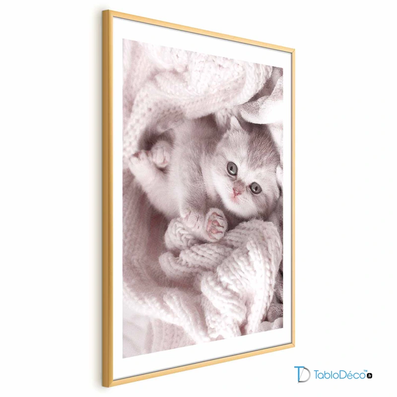 Poster Chaton Mignon cadre doré avec une marge