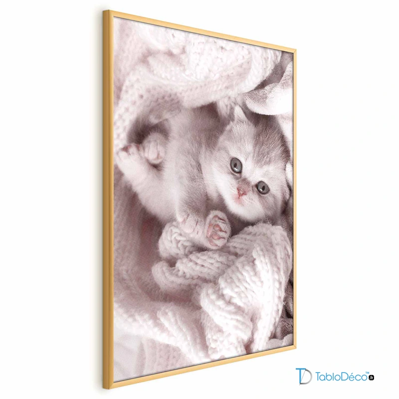 Poster Chaton Mignon avec cadre doré