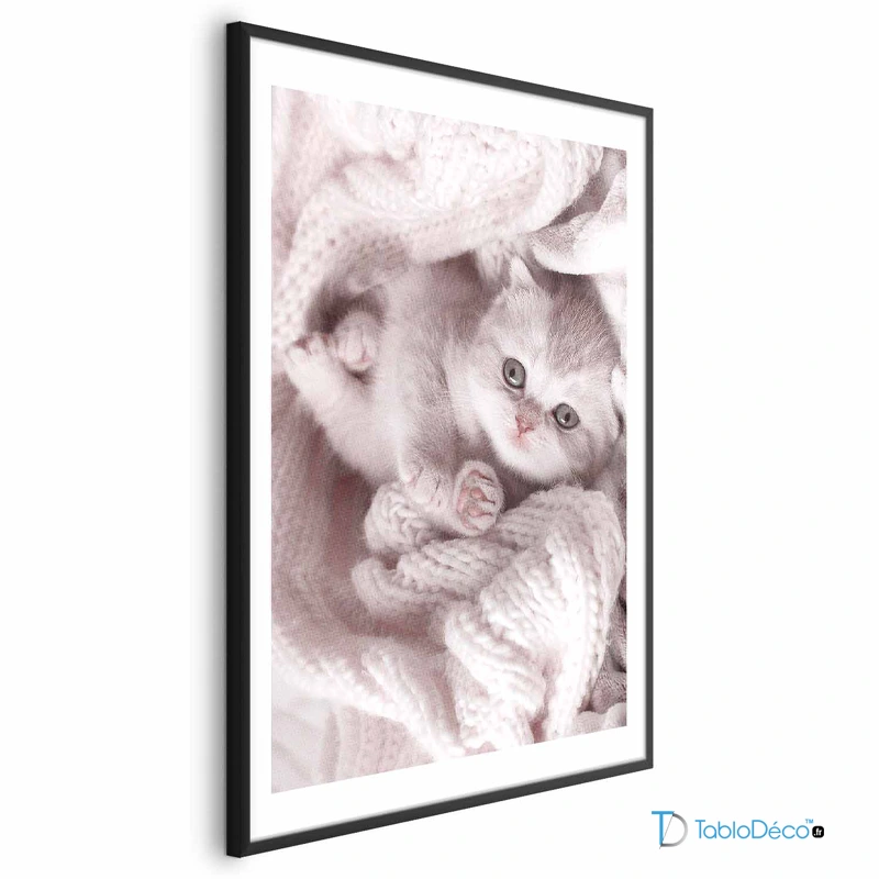 Poster Chaton Mignon cadre noir avec marge