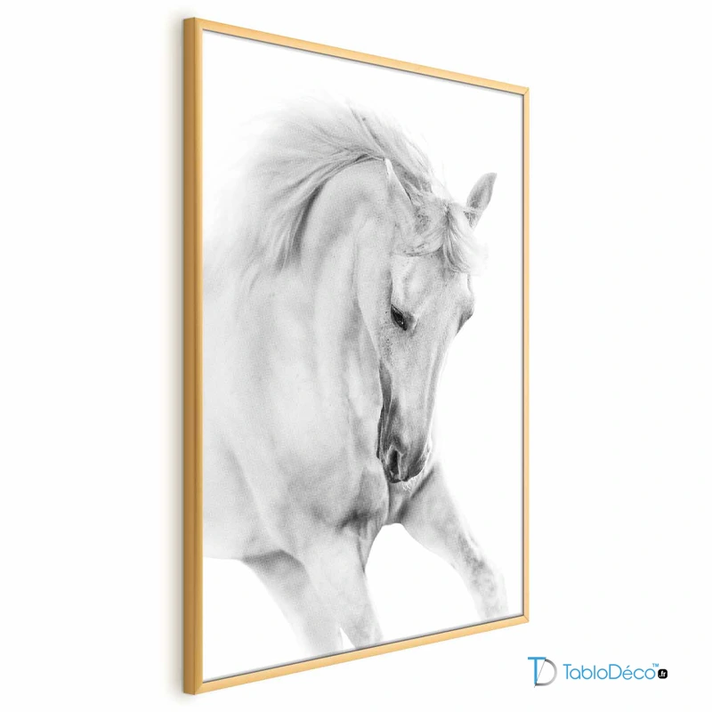 Poster Cheval Blanc Sauvage cadre doré