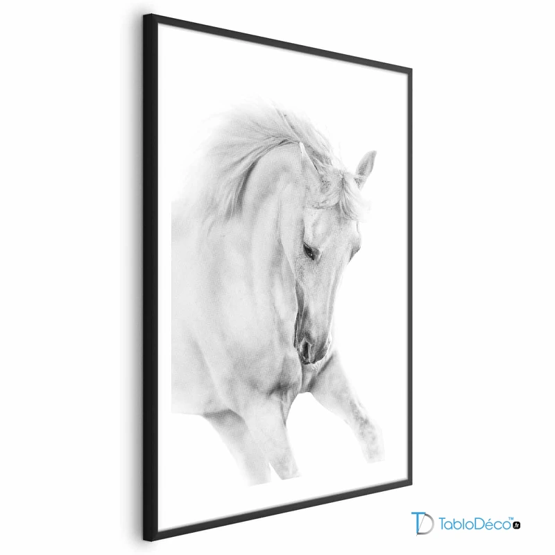 Poster Cheval Blanc Sauvage cadre noir avec marge