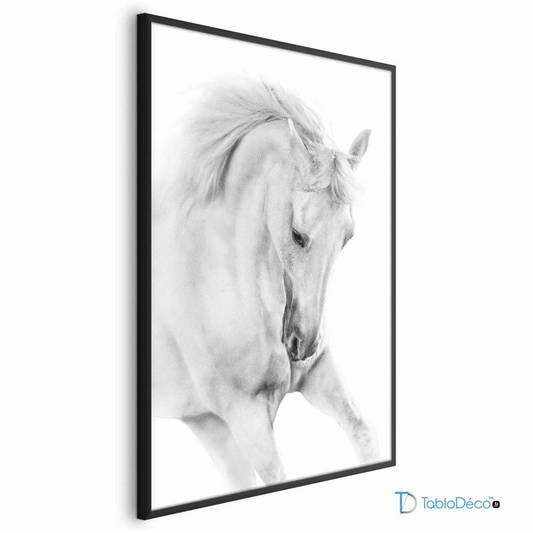 Poster Cheval Blanc Sauvage