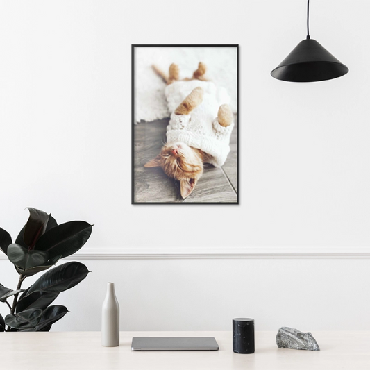 Poster Déco avec un Chaton Endormi