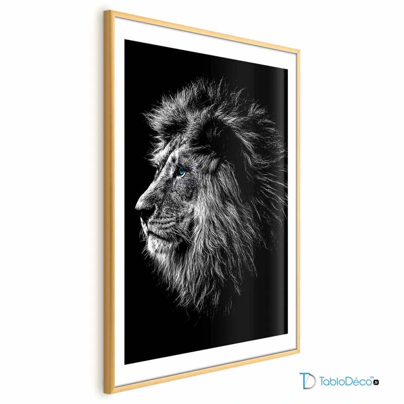 Poster Décoratif Lion Noir et Blanc aux Yeux Bleus cadre doré avec marge