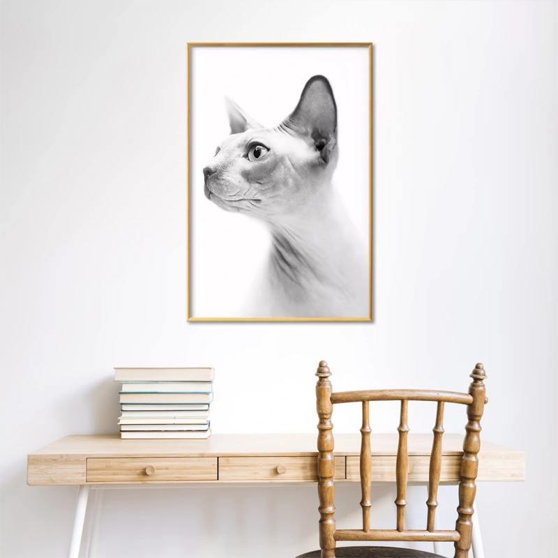 Poster encadré d'un Chat Sphynx en Noir et Blanc