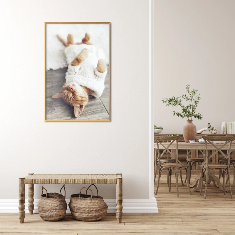 Poster encadré avec un Chaton Endormi