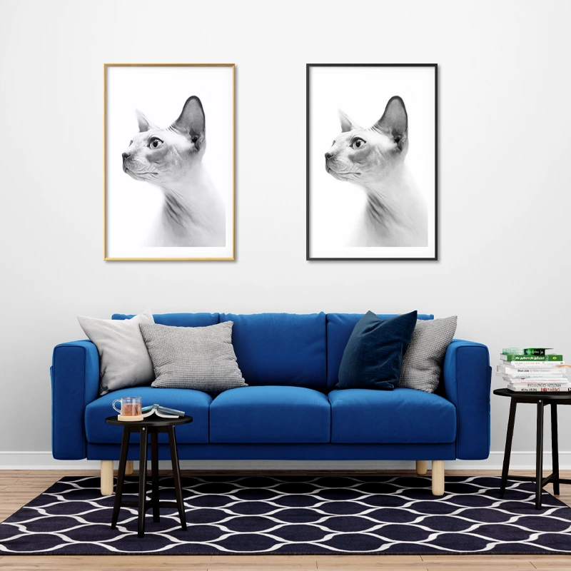 Poster mural avec un Chat Sphynx en Noir et Blanc