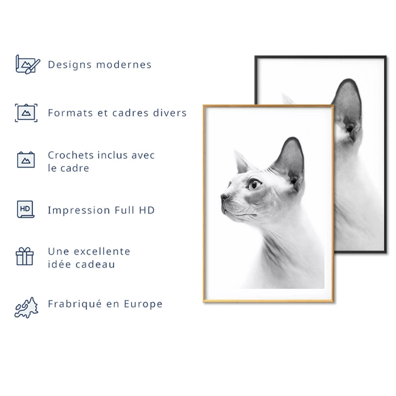 Poster Chat Sphynx en Noir et Blanc