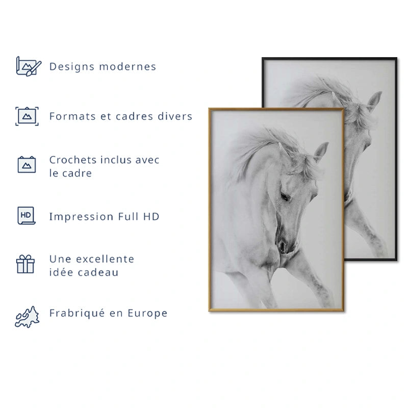 Poster Cheval Blanc Sauvage