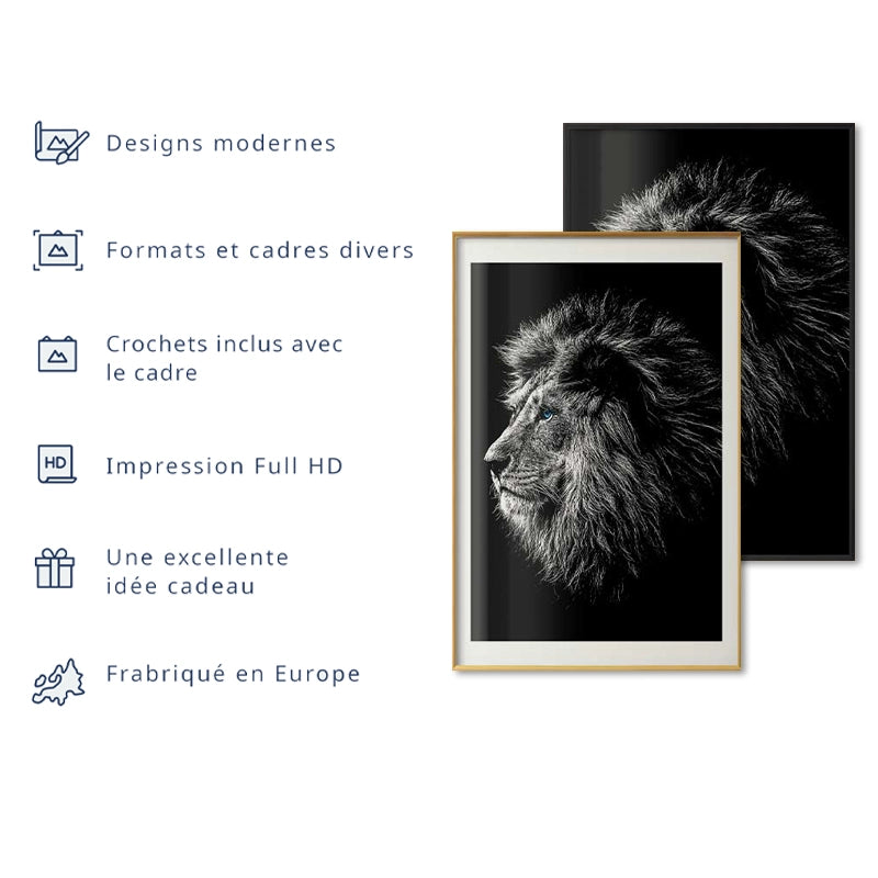 Poster Lion Noir et Blanc aux Yeux Bleus