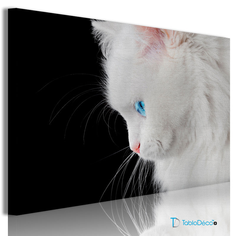 Acheter un Tableau Chat Blanc aux Yeux Bleus - TabloDéco.fr