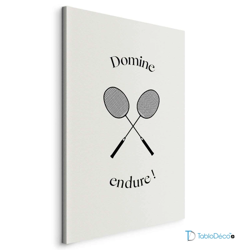 Tableau Déco Raquettes de Badminton