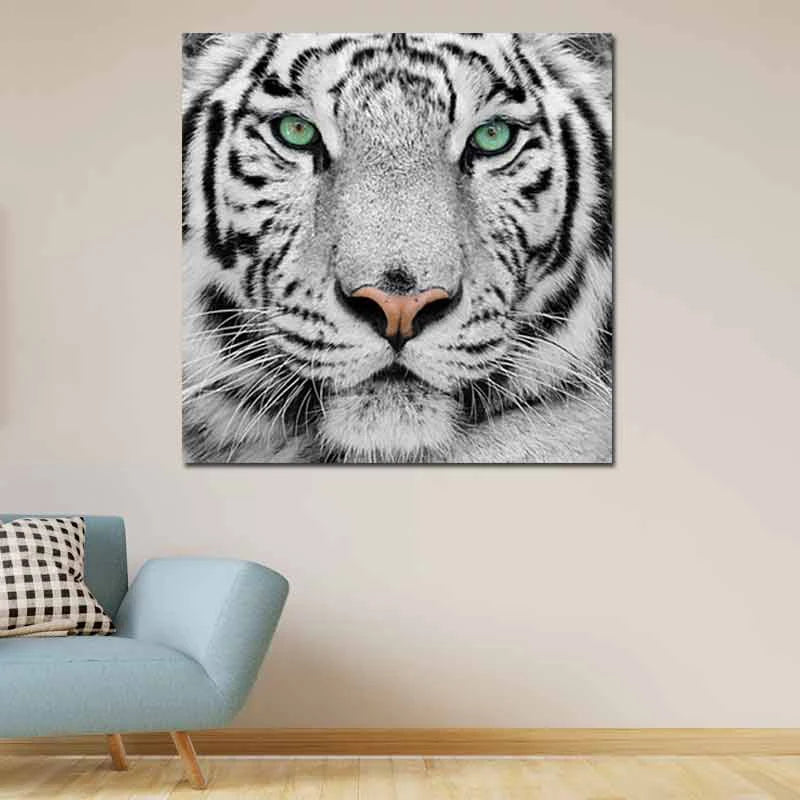 Tableau déco Tigre Blanc - TabloDéco.fr
