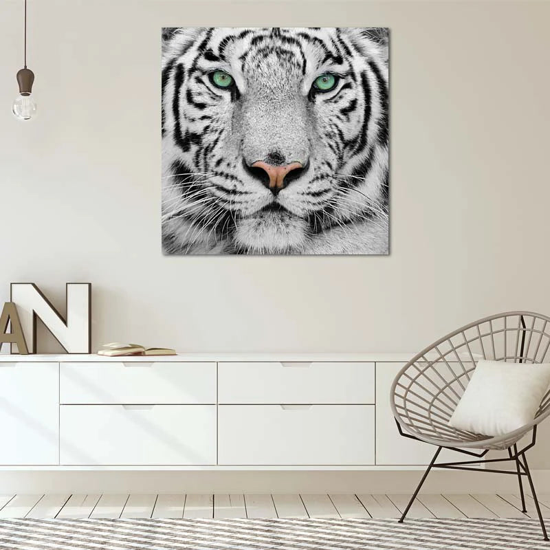 Tableau de décoration d'un Tigre Blanc au format carré - TabloDéco.fr