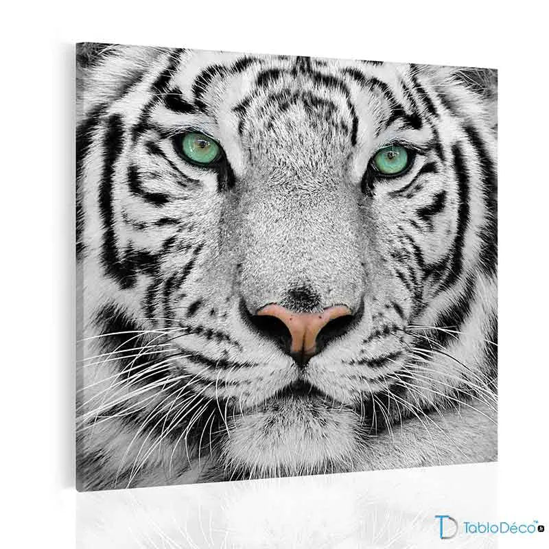 Acheter un Tableau déco d'un Tigre Blanc - TabloDéco.fr
