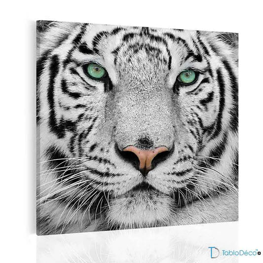 Acheter un Tableau déco d'un Tigre Blanc - TabloDéco.fr
