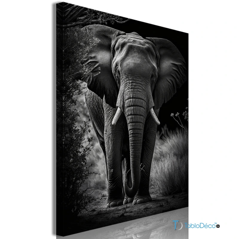 Acheter un Tableau Éléphant Noir et Blanc - TabloDéco.fr
