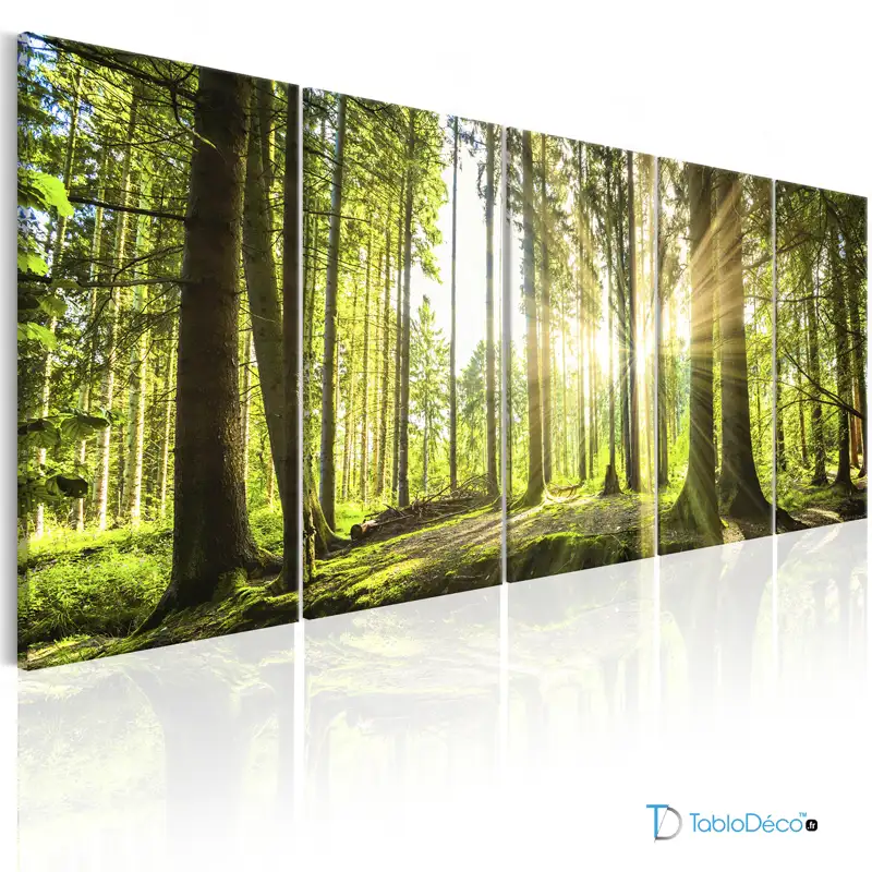 Acheter un Tableau d'une Foret en 5 parties - TabloDéco.fr