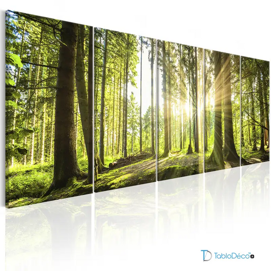 Acheter un Tableau d'une Foret en 5 parties - TabloDéco.fr