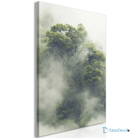 Acheter un Tableau de la Forêt Amazonienne - TabloDéco.fr