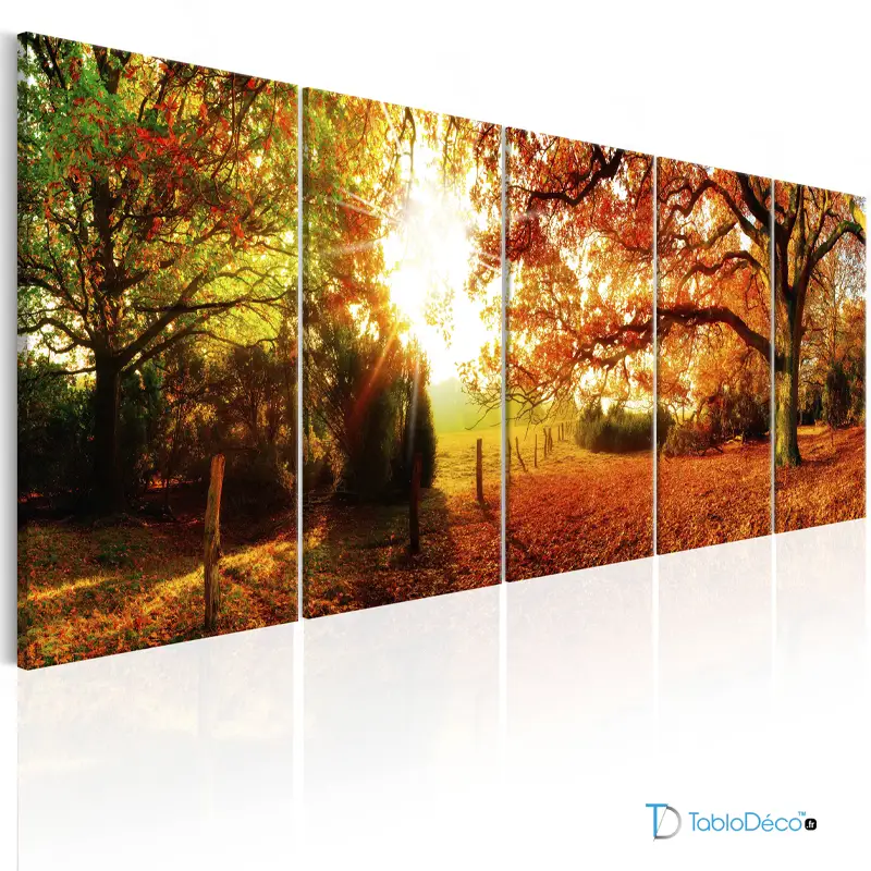 Acheter un Tableau d'une Forêt d'automne en plusieurs cadres - TabloDéco.fr