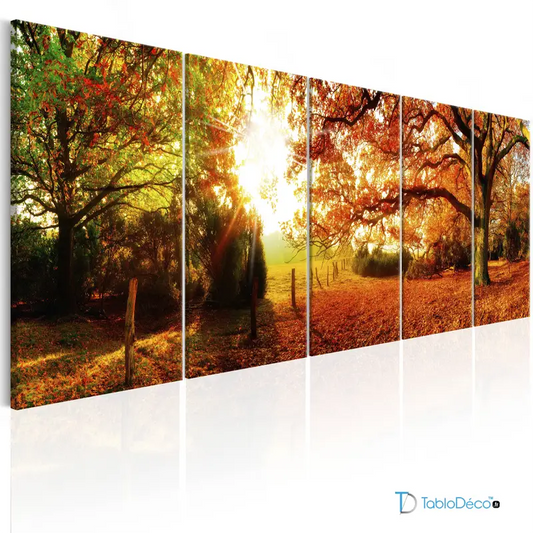 Acheter un Tableau d'une Forêt d'automne en plusieurs cadres - TabloDéco.fr