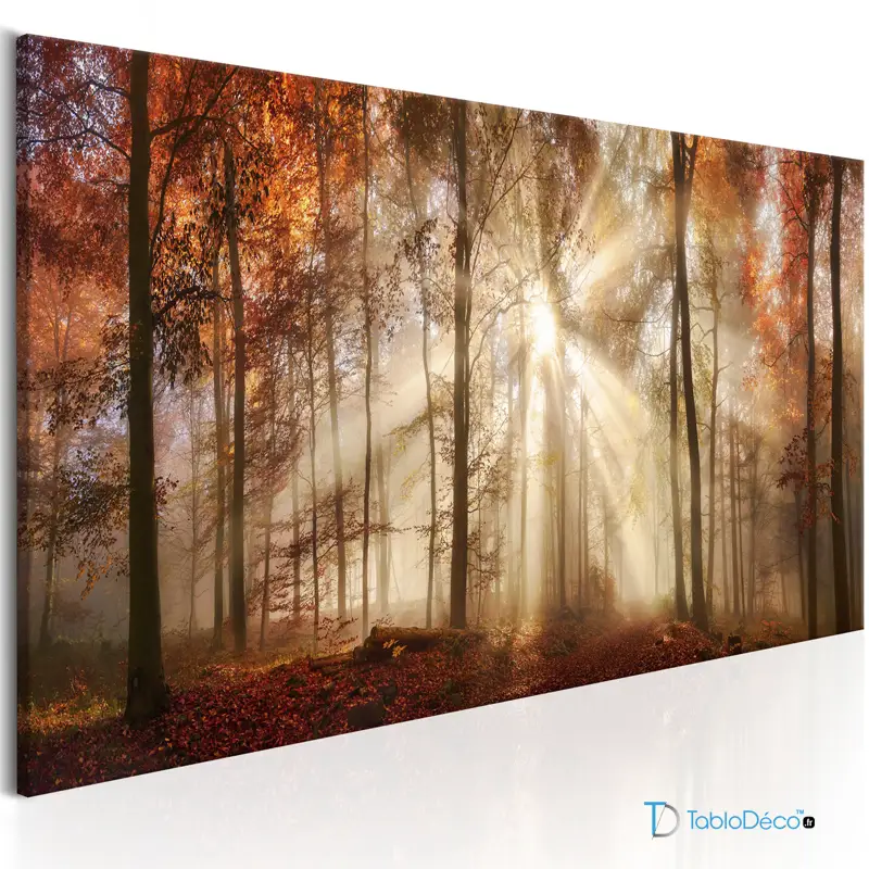 Acheter un Tableau d'une Forêt en Automne - TabloDéco.fr