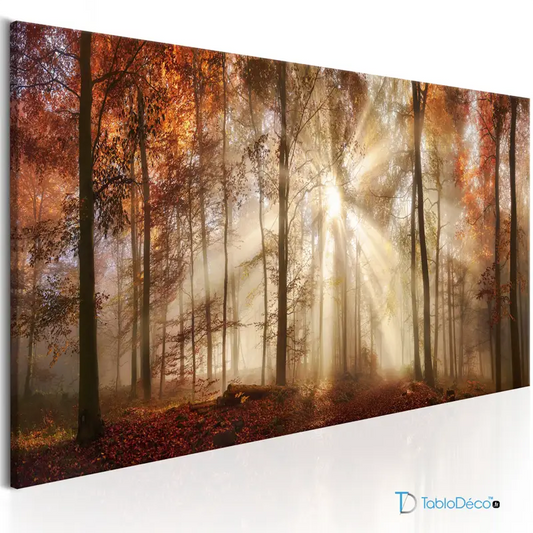 Acheter un Tableau d'une Forêt en Automne - TabloDéco.fr