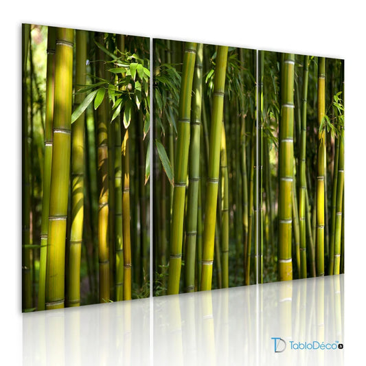 Acheter un Tableau d'une Forêt de Bambous - TabloDéco.fr