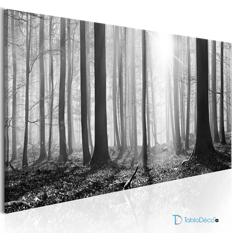 Acheter un Tableau d'une Forêt Noir et Blanc - TabloDéco.fr
