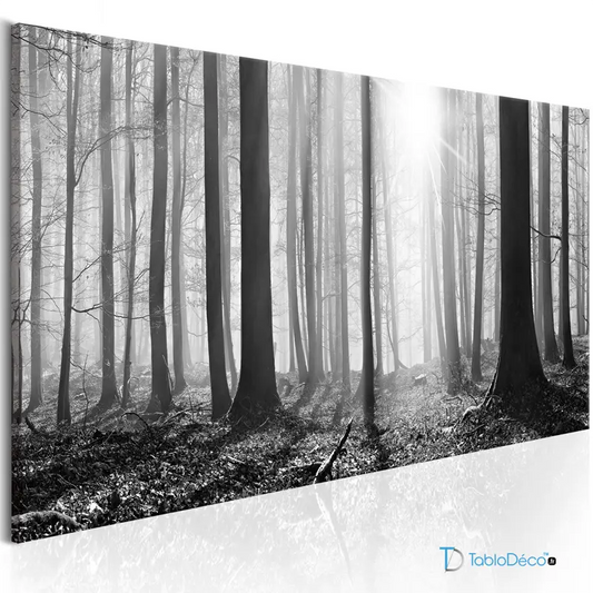 Acheter un Tableau d'une Forêt Noir et Blanc - TabloDéco.fr