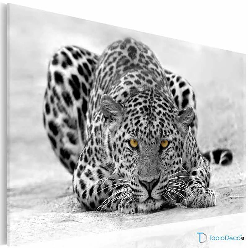 Acheter un Tableau d'un Léopard Noir et Blanc - TabloDéco.fr