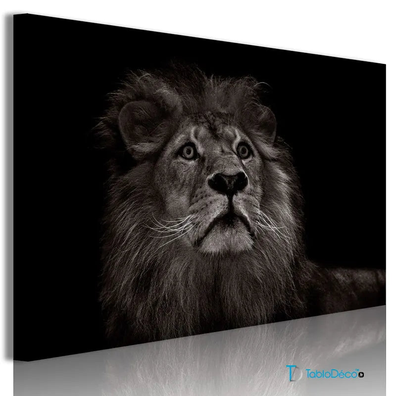 Acheter un Tableau lion en Noir et Blanc - TabloDéco.fr