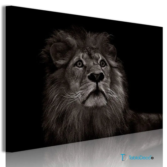 Acheter un Tableau lion en Noir et Blanc - TabloDéco.fr