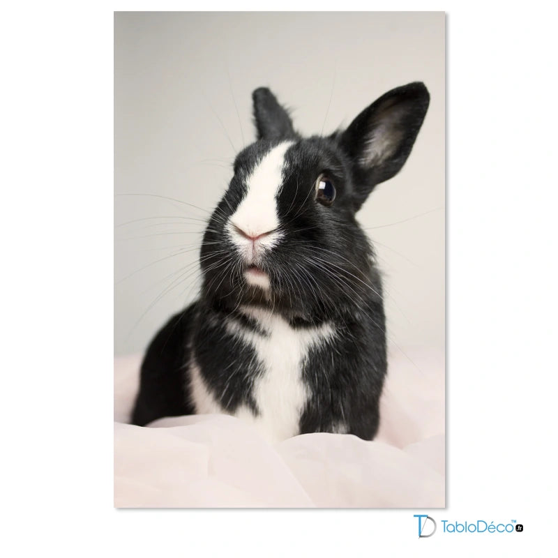 Tableau Photo Animaux Personnalisé
