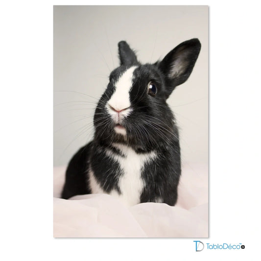 Tableau Photo Animaux Personnalisé