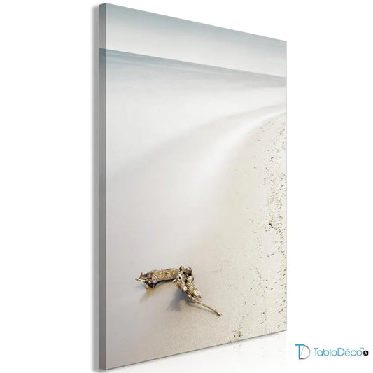 Acheter un Tableau d'une Plage Scandinave