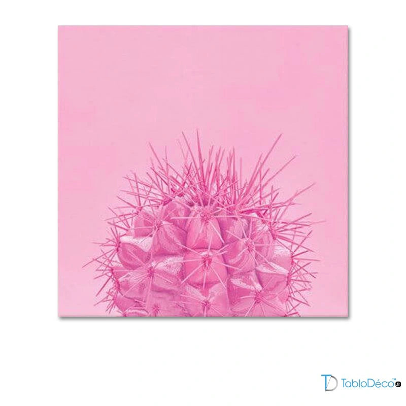 Acheter un Tableau Scandinave Rose - TabloDéco.fr