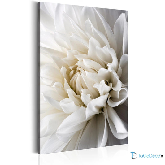 Acheter un tableau sur toile avec une fleur blanche - TabloDéco.fr