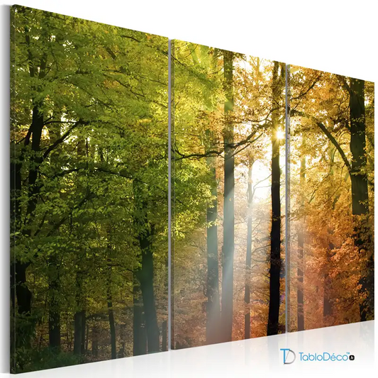 Acheter un  Tableau Triptyque d'une Forêt - TabloDéco.fr
