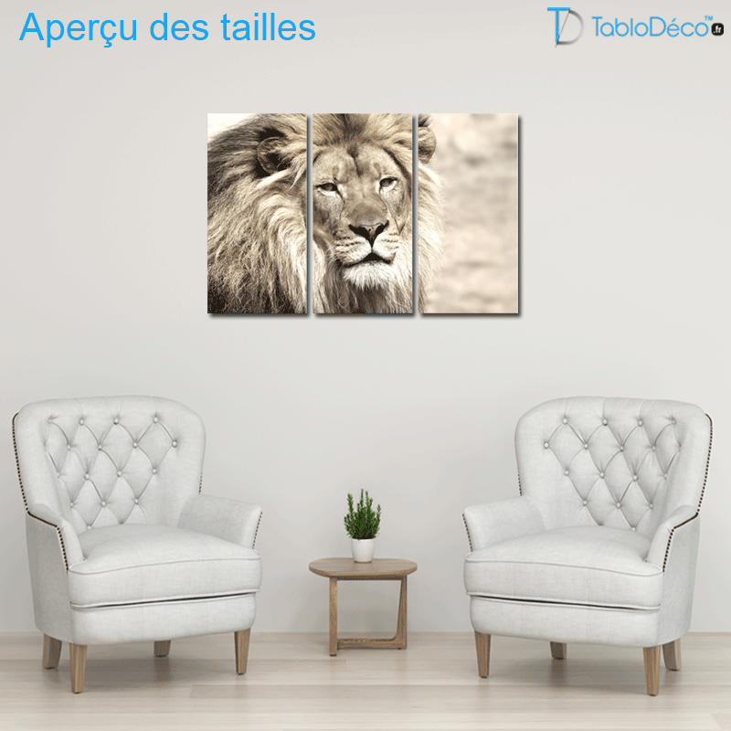 Aperçu des tailles du  Tableau sur toile en 3 pièces Lion