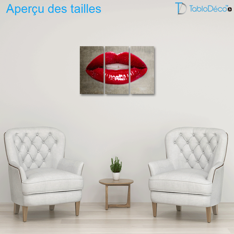 Aperçu des tailles du  Tableau Bouche Femme