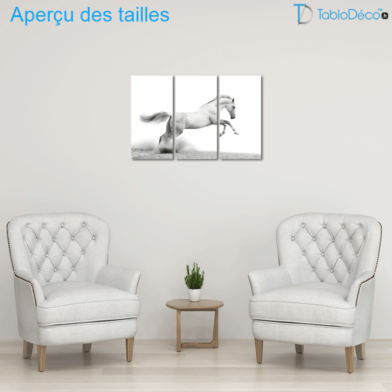 Tableau Pur-Sang Arabe Gris